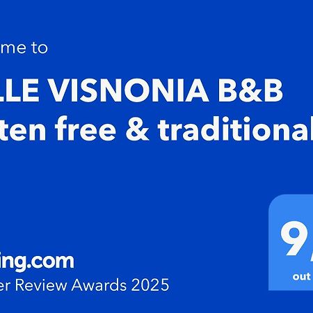 Belle Visnonia B&B Gluten Free & Traditional Béganne Zewnętrze zdjęcie