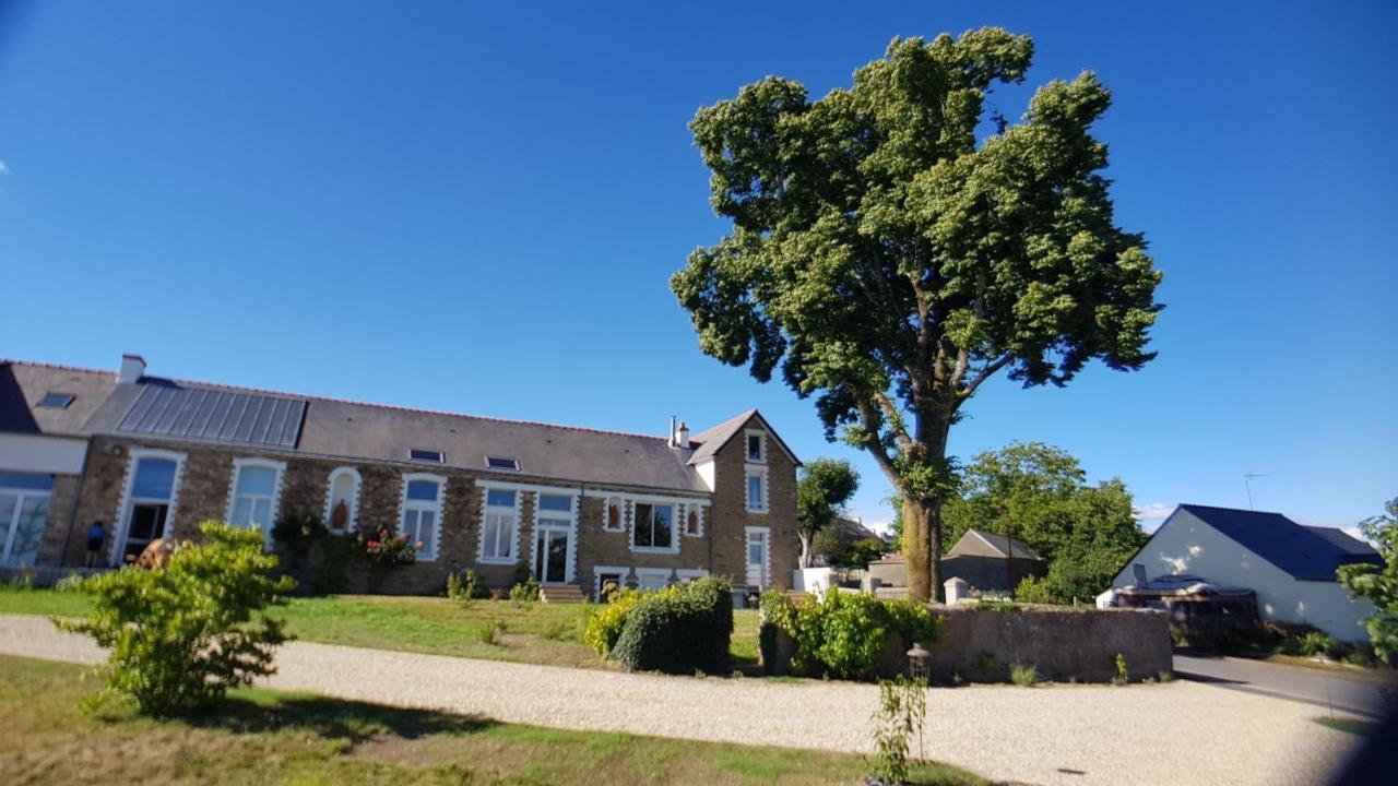 Belle Visnonia B&B Gluten Free & Traditional Béganne Zewnętrze zdjęcie