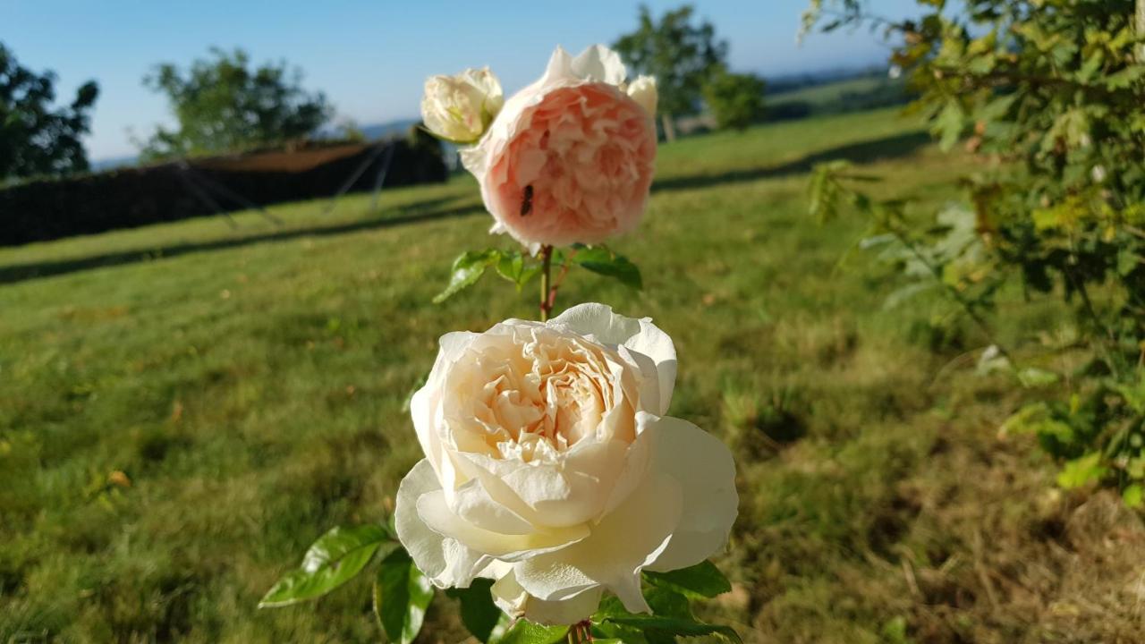 Belle Visnonia B&B Gluten Free & Traditional Béganne Zewnętrze zdjęcie
