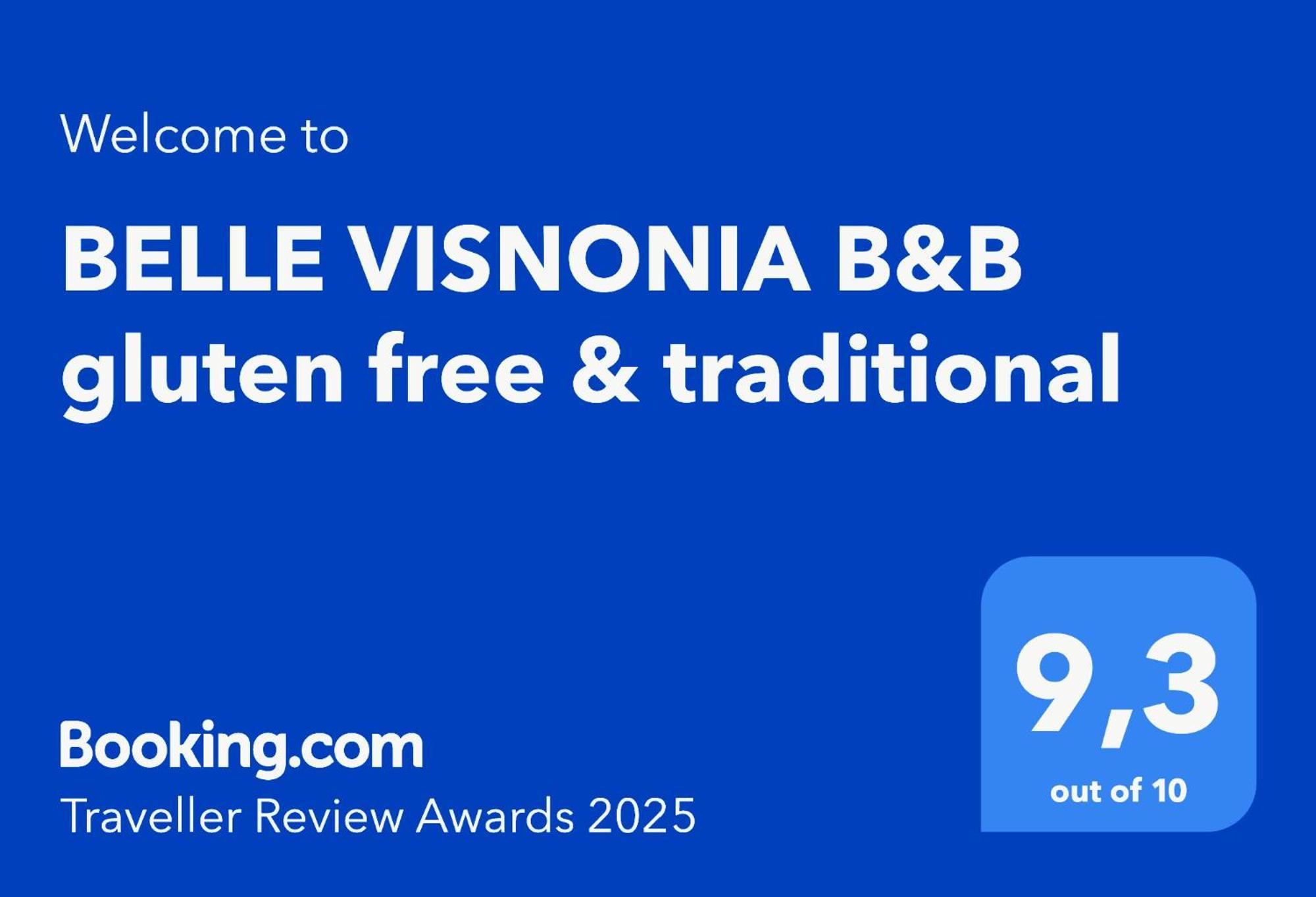Belle Visnonia B&B Gluten Free & Traditional Béganne Zewnętrze zdjęcie